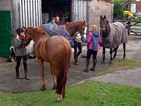 Delamere Loop riders